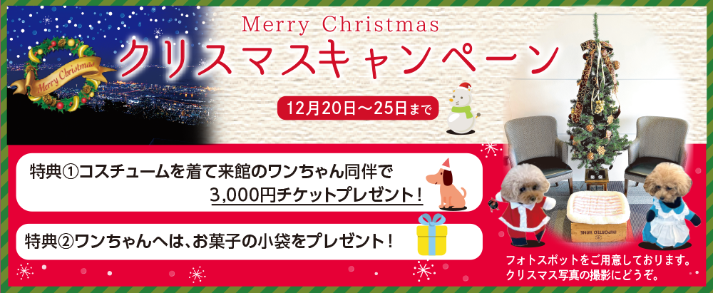 クリスマスキャンペーン